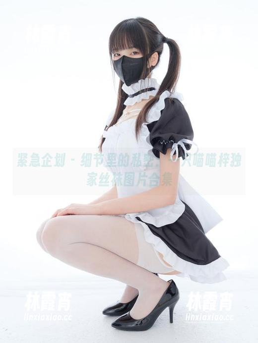 紧急企划-一只喵喵梓 紧急企划 - 细节里的私密:一只喵喵梓独家丝袜图片合集